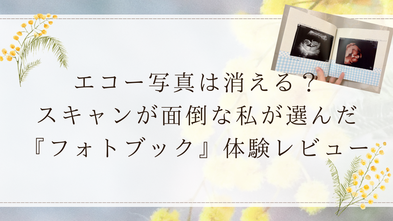 エコー写真は消える？スキャンが面倒な私が選んだ『フォトブック』体験レビュー